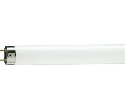 Master TL-D 90 De Luxe 18W/950 Slv/10 T8 Floresan - 1